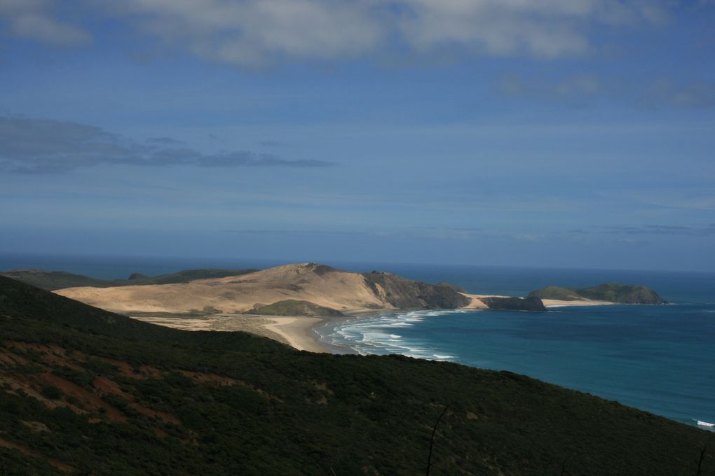 Album - The-Northland