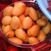 Le fruit-serpent ou salak - Fruit de saison (21-05) - Noy et Gilbert en Thaïlande