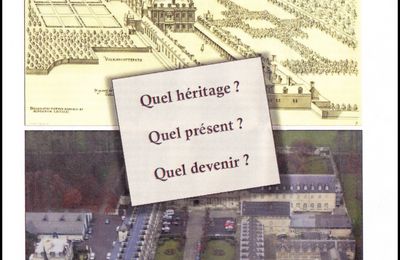 202. Villers-Cotteréts. L avenir du château François Ier.