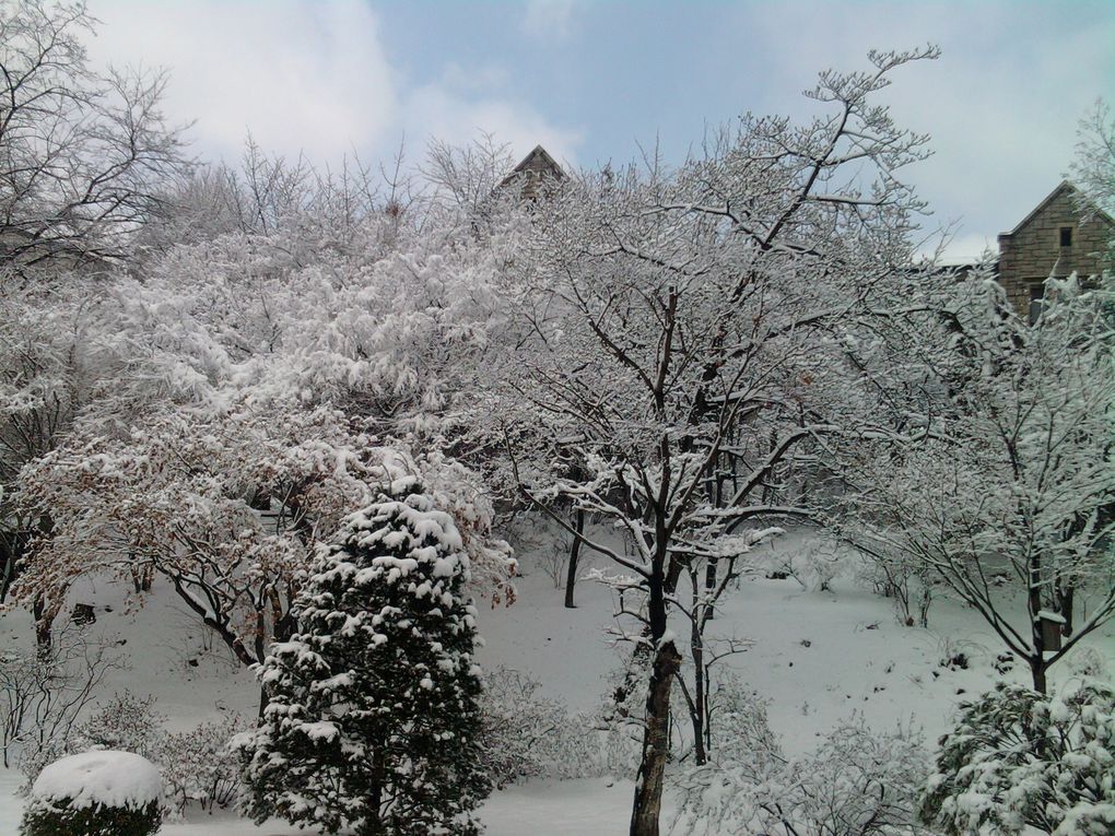 Album - Hiver 2010 à Ewha