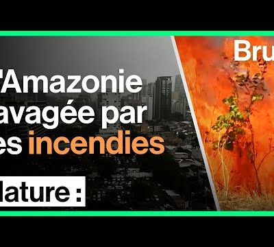   Jair Bolsonaro, l'extrême droite au pouvoir : un sujet brûlant ...
