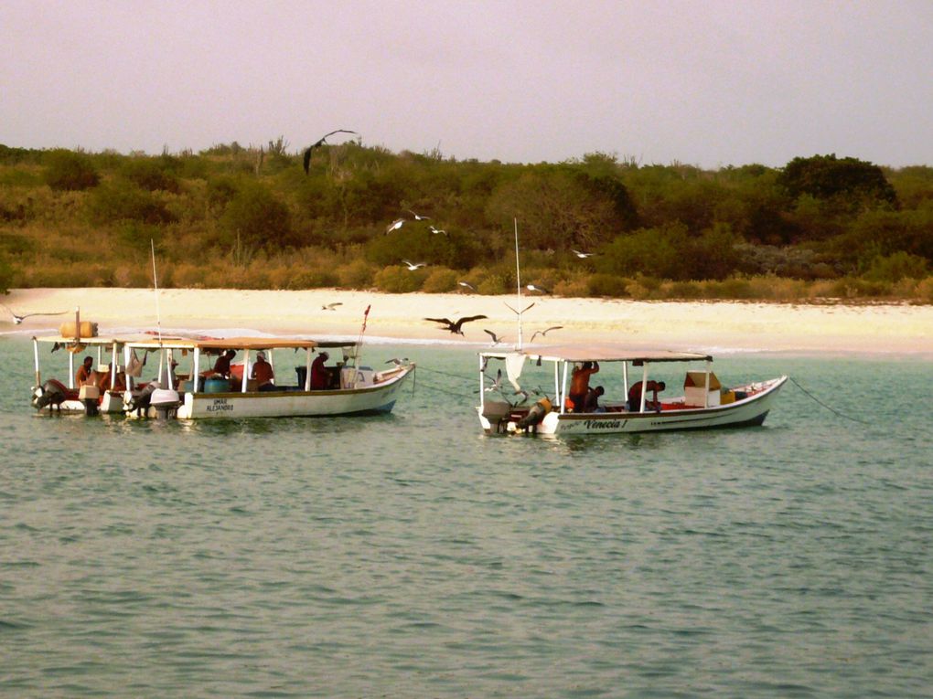 Album - Venezolanische-Inseln-Bonaire-Juni-Juli-2011