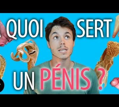 La connaissance, ma drogue