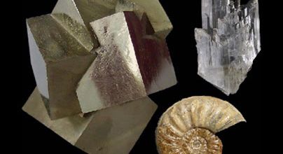 XXV FERIA MINERALES Y FÓSILES DE AMURRIO