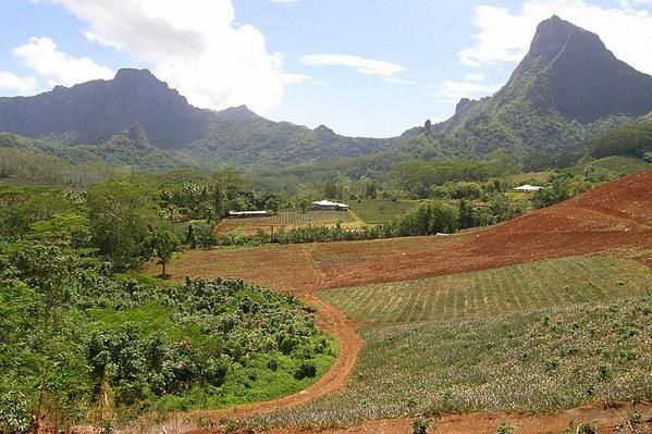 Album - Week-end---MOOREA