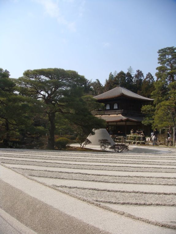 Album - Kyoto-Nara-Koyasan-Kawaguchi-hakone