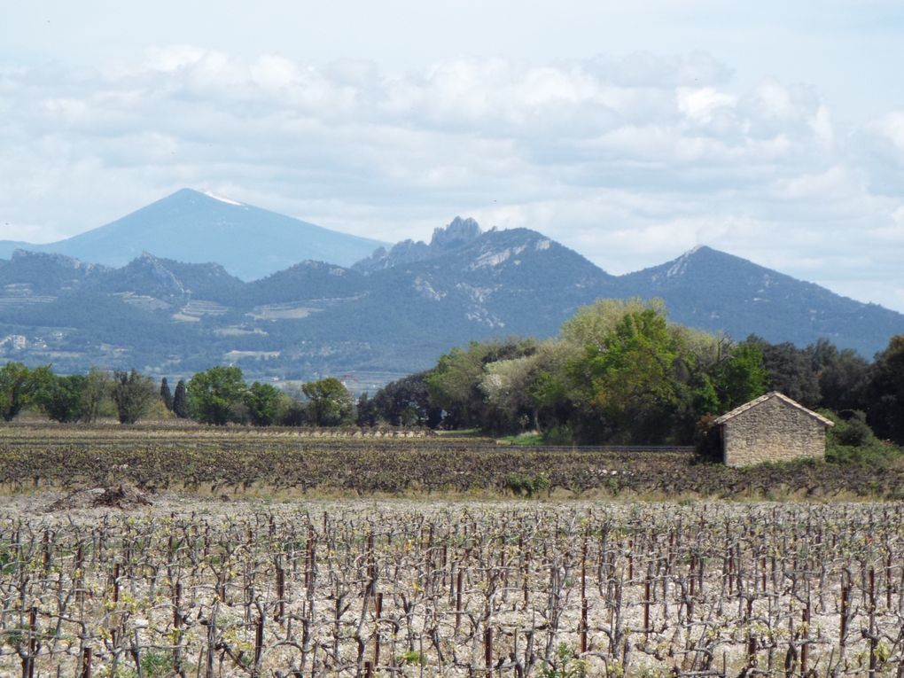 Le Ventoux et les Dentelles de Montmirail.