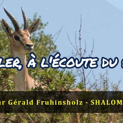 Vidéo 258 - Veiller, à l'écoute du Père