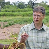 La Stratégie de Bill Gates pour mettre fin aux fruits et céréales naturelles en Afrique. | Afrique: développement durable et environnement
