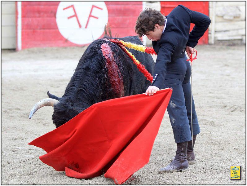 DIAPORAMA DE LA FAENA DE FERNANDO REY