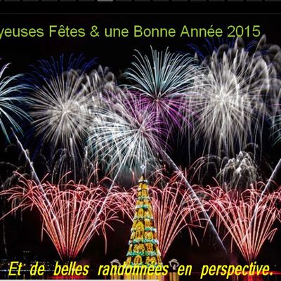 Bonne Année 2015