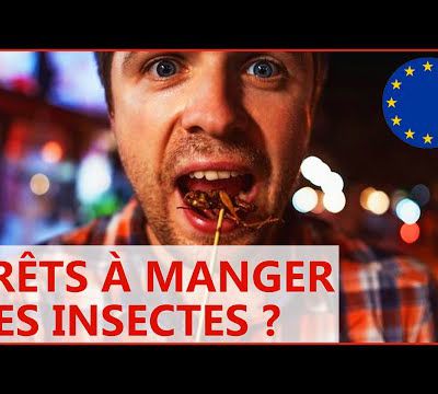 L’UE autorise les grillons dans l’alimentation : tous cobayes !