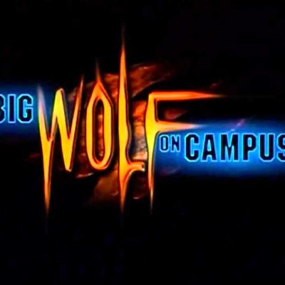 Les bilans de Lurdo : Big Wolf on Campus saisons 1, 2 (et 3)