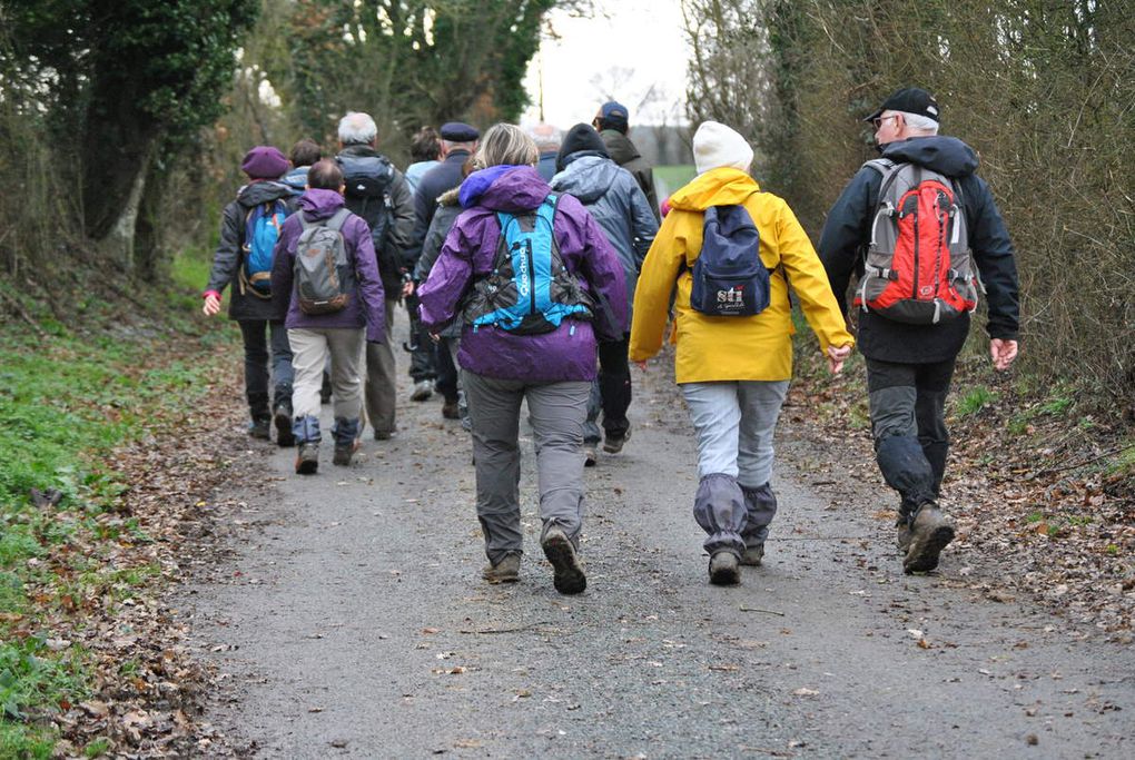 Galette des Rois sur le chemin de rando à MARCAY le 22 janvier 2018