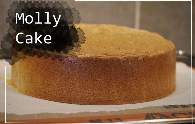 Molly cake | BASIQUE #7