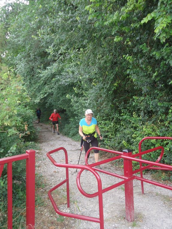 chemin de la montagne