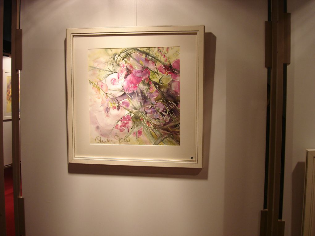 Sortie des Amis des Arts au salon de l'aquarelle à Namur le 14 Mai 2011