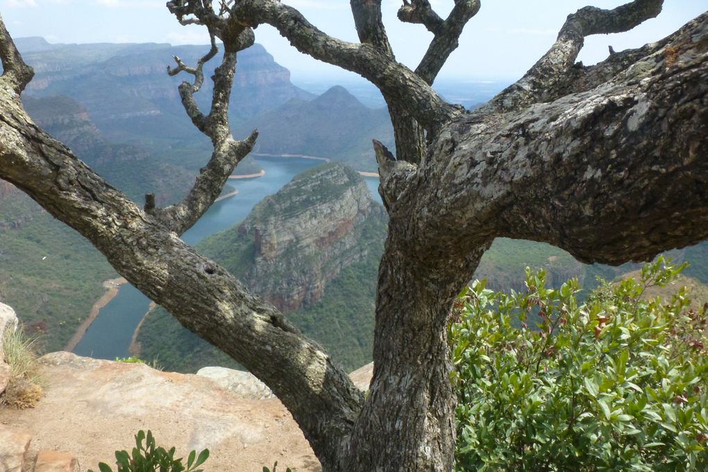 Blyde canyon et Rondavels