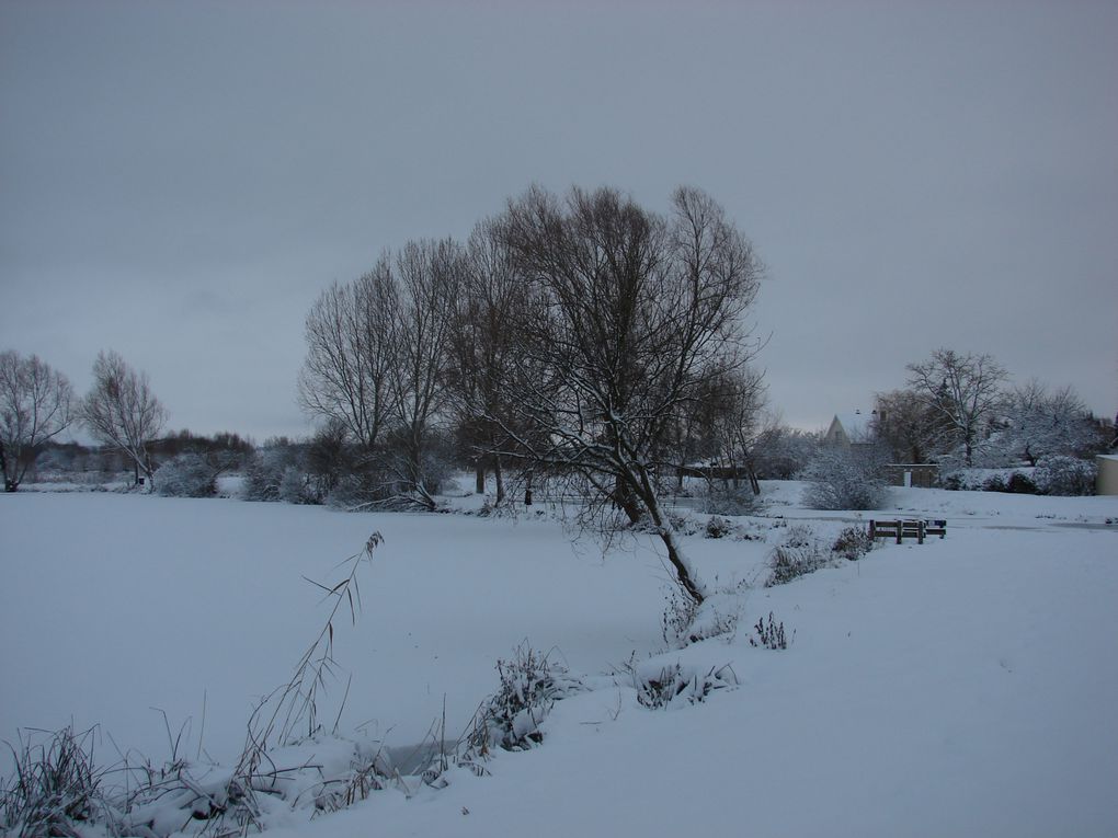 THE WINTER 2010 OR THE WHITE HELL. Sélection de photographies prises entre le 2 décembre et le 19 décembre 2010 à l'Etang de Fouilloy, la Place de la République de Corbie et la Somme.
Photos prises avec un SONY DSC-H2.  (C) DAVID NOGENT/ADAGP. A