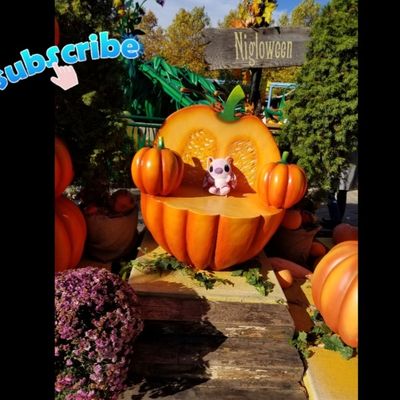 Nigloween, des frayeurs, des sensations fortes et des fous rires !🎃 