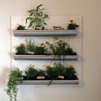 Jardin suspendu...une merveille? 