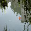 Chinese Lake Reflections