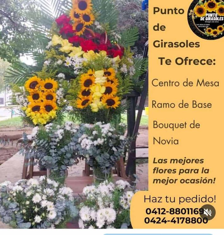 "Punto de Girasoles Milagro de Dios" ofrece variedad de flores al mayor y detal en el Trigal Norte (Publicidad)