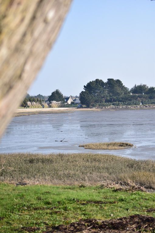 Le bord de côte, du côté de Sarzeau. Magnifique vue, et on respire le Grand aire.