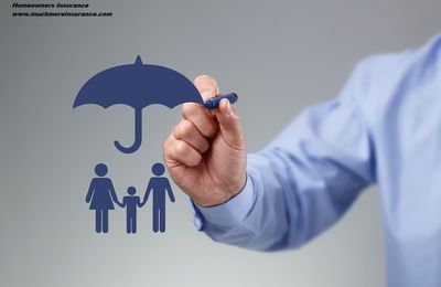 Homeowners Insurance - Flood Insurance - New Port Richey FL - 727-226-1076