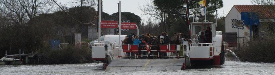 05 Mars 17 : une Rando sympa à découvrir La Royale Camarguaise avec les copains du BCB.