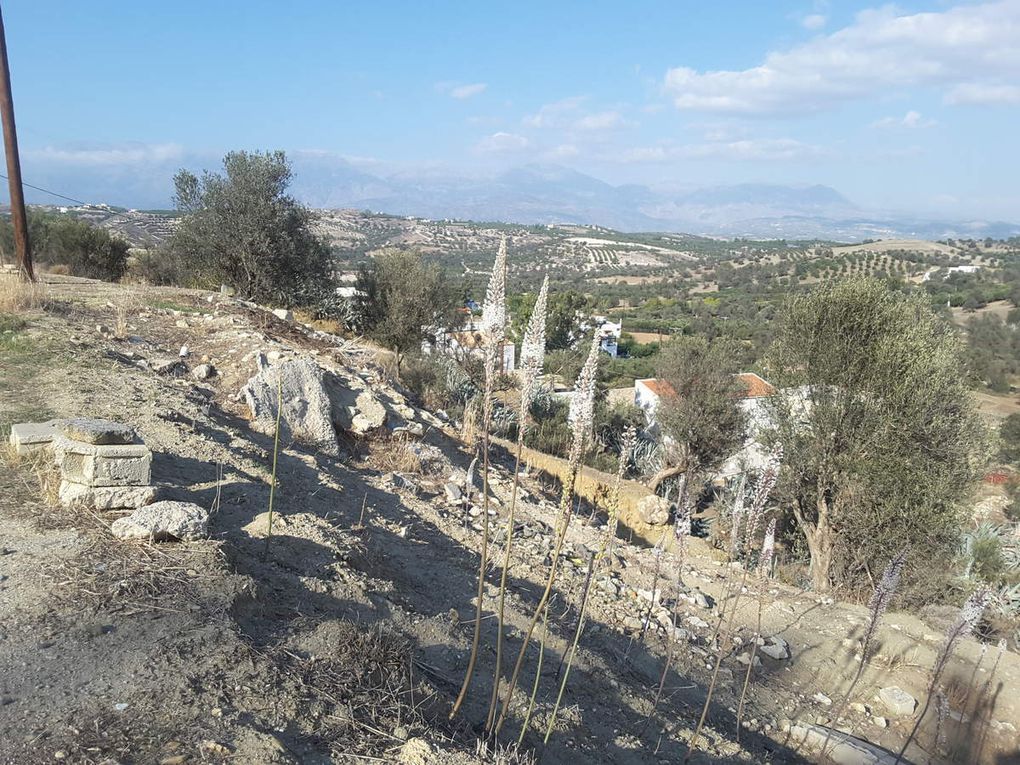 10 octobre 2018 -  Lassithi Plateau  -  Pitsidia