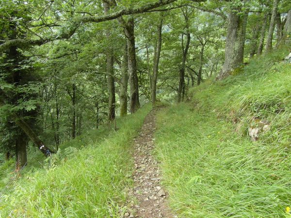 Le chemin et les points de vue qui l'entourent