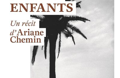 Ne réveille pas les enfants - de Ariane CHEMIN