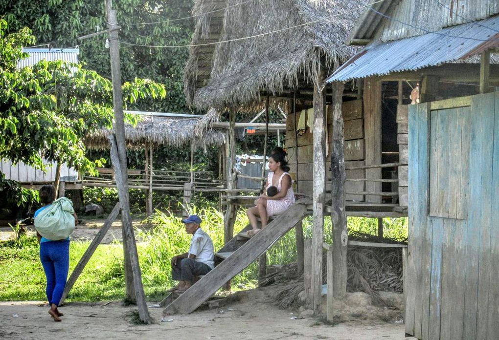 Amazonie péruvienne: Iquitos, Muyuna et San Juan de Yanayacu. 31 août/ 5 septembre 2016