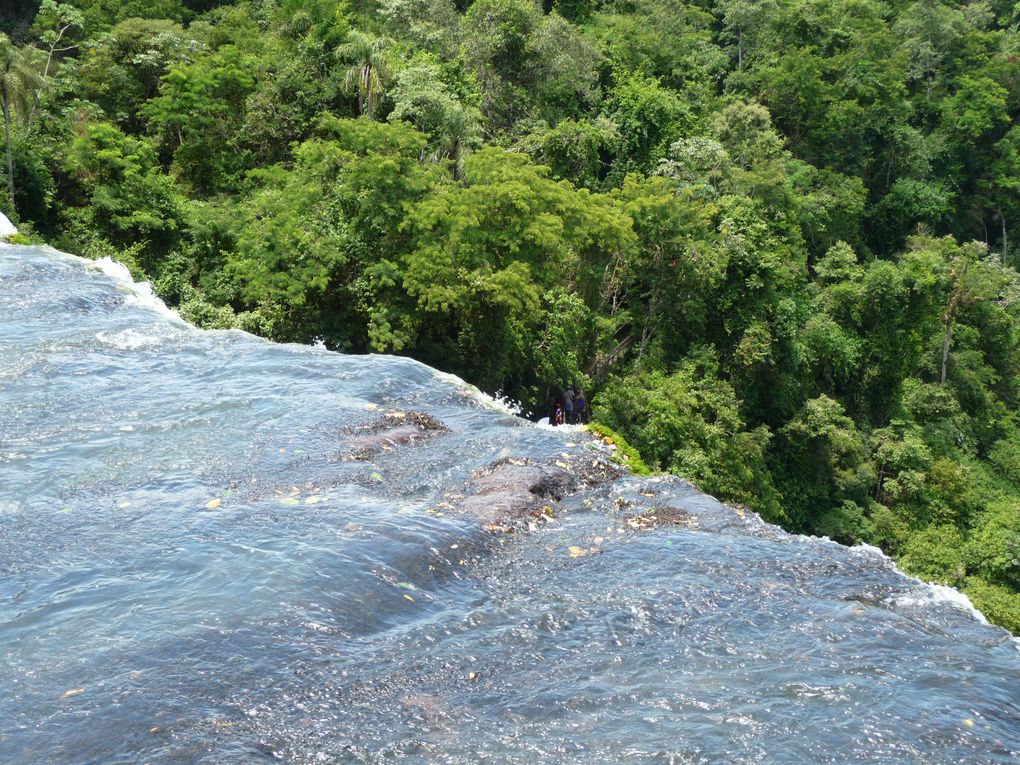 Album - 45.De Puerto Iguazu à Rio (Bresil-janv.)