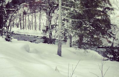 Winter-Märchenland