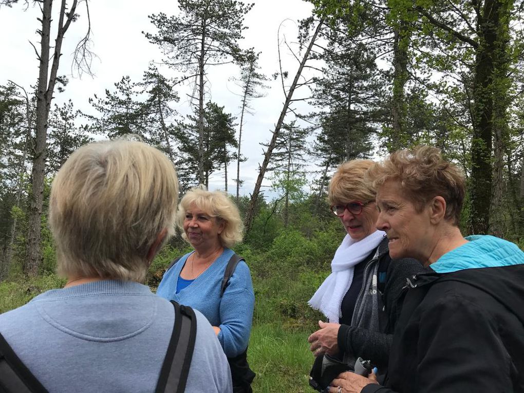 Photos : Marie-Christine et Françoise