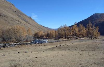 Retour sur un voyage coup de coeur : la Mongolie, Octobre 2004