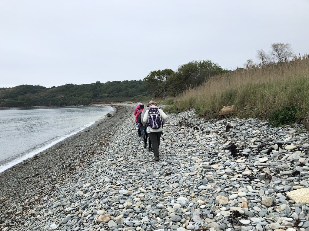 Randonnée de Louannec à Port-Blanc, 15 km.