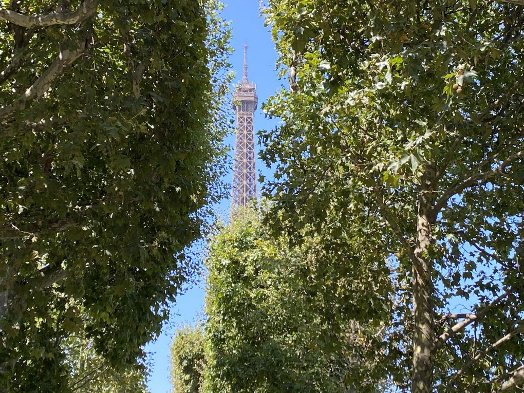 Visite de la Tour Eiffel