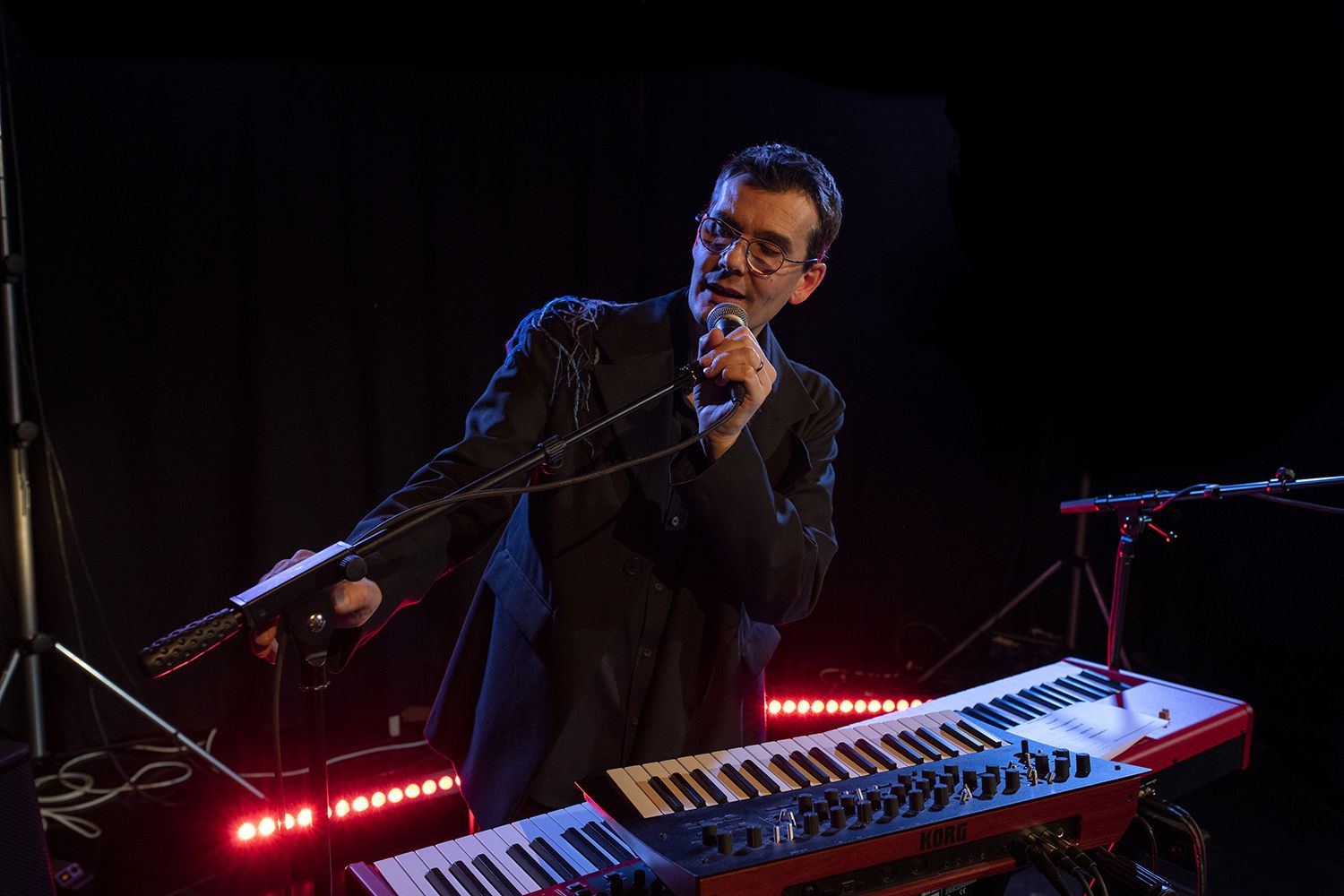 L'Homme Héron dévoile album chansons libres Drôles d'Espèces