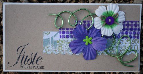 Album - Cartes-pour-Scrapetc-.