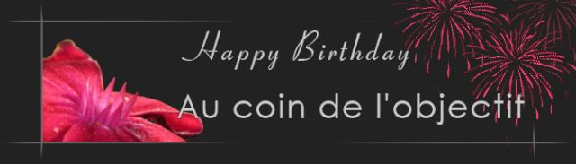 ACO fête son anniversaire !!