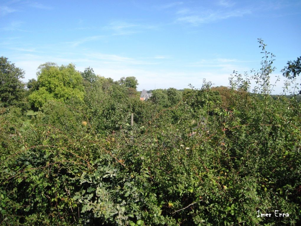 Petit bourg dans la vallée de l'Ernée, à visiter!