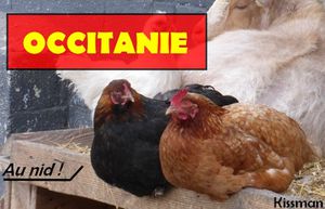 Occitanie, nom de région