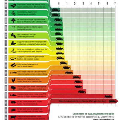 Environmental Working Group: Mangez sainement et protégez la planète!