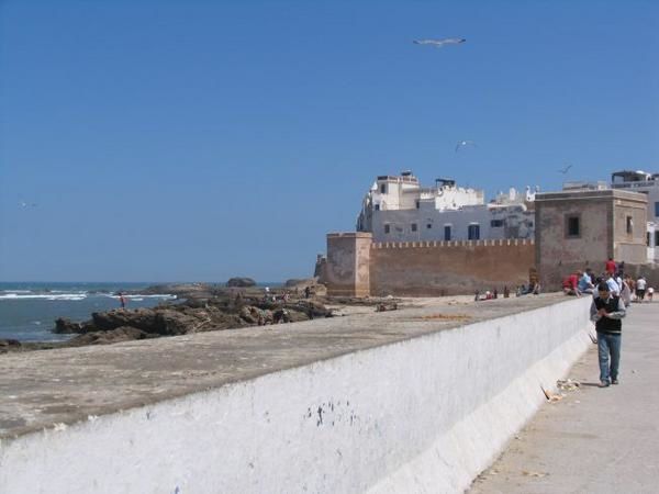 quelques 106 photos d'Essaouira, de son port, de ses mouettes et de ses chats plus ou moins mités