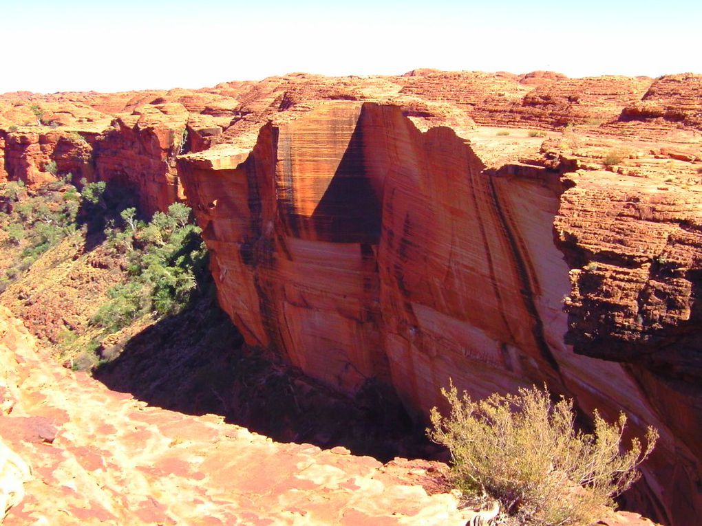 Album - The-Ultimate-Oz-Experience-2--Outback--The-Olgas---Ayers-Rock---Kings Canyon