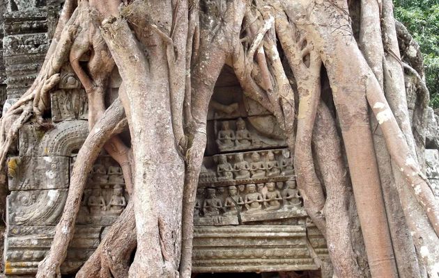 A la découverte des temples d'Angkor (2/3)