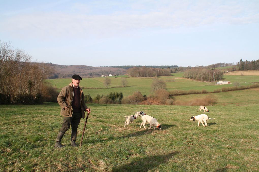 Concours de meutes sur lièvre organisé par l'AFACCC 87